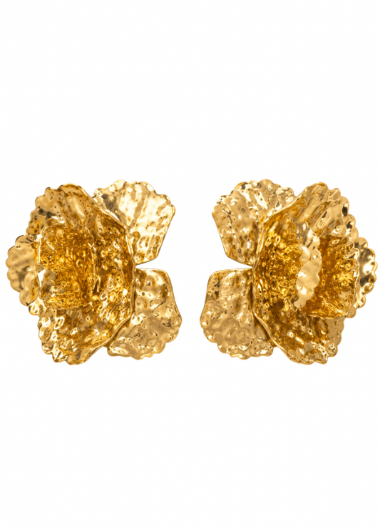 BRINCOS TEXTURADOS EM DOURADO - ALIBY